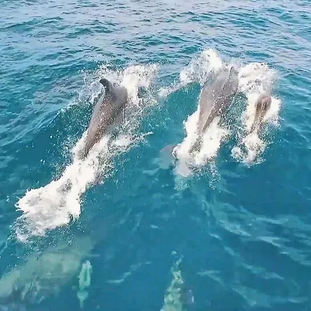 וילה Aruba By Algarve Vacation